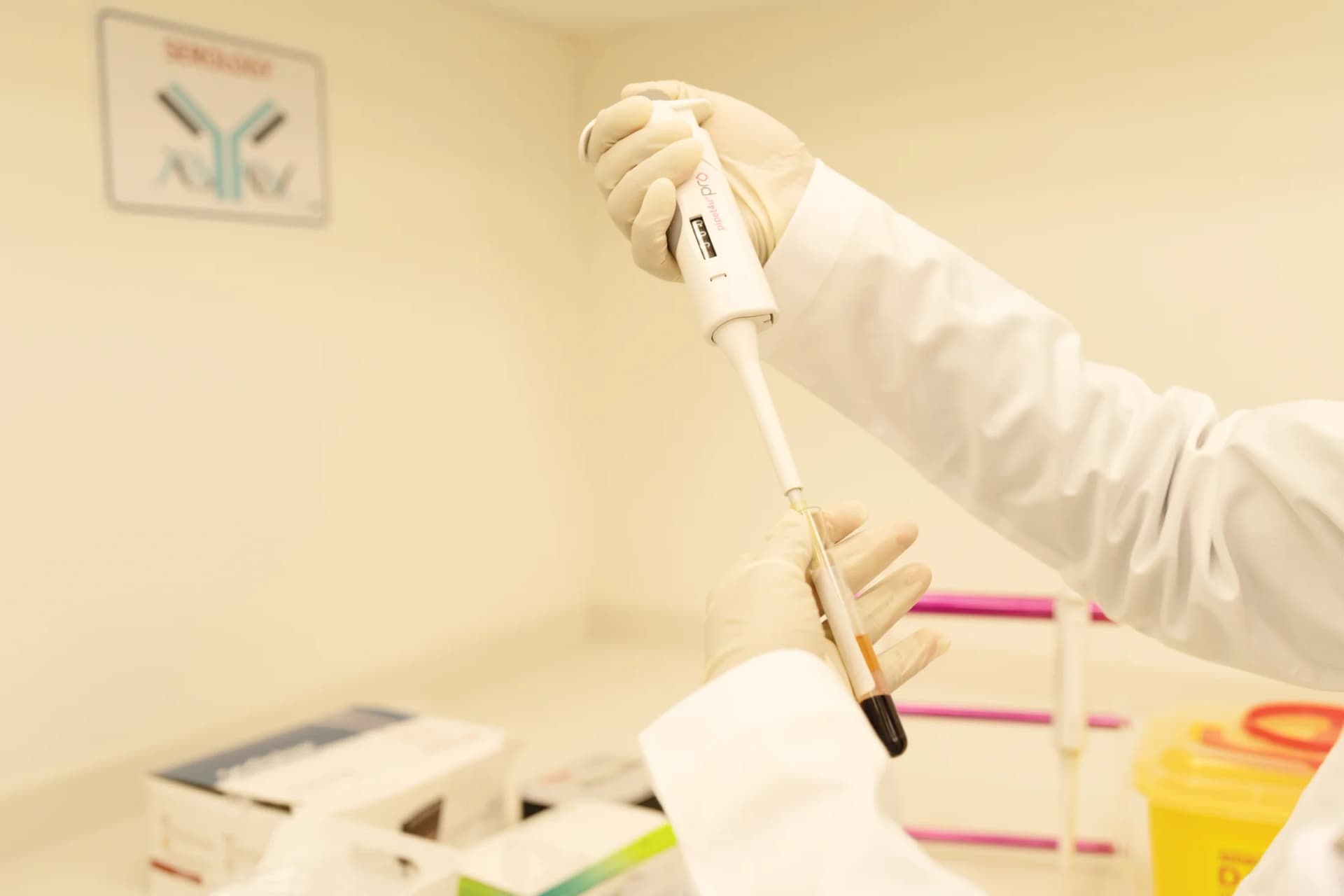 Laboratory testing workflow at Lifeline Urgent Care